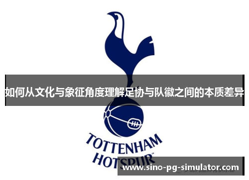 如何从文化与象征角度理解足协与队徽之间的本质差异