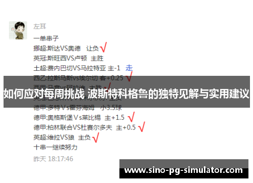 如何应对每周挑战 波斯特科格鲁的独特见解与实用建议