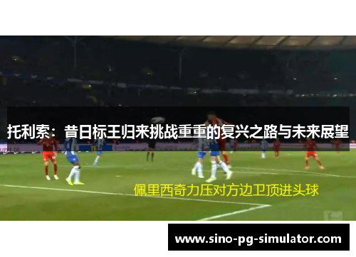 托利索：昔日标王归来挑战重重的复兴之路与未来展望