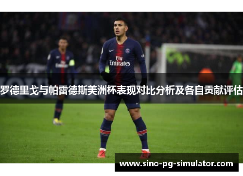 罗德里戈与帕雷德斯美洲杯表现对比分析及各自贡献评估