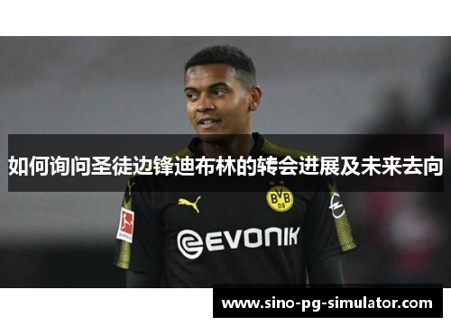 如何询问圣徒边锋迪布林的转会进展及未来去向