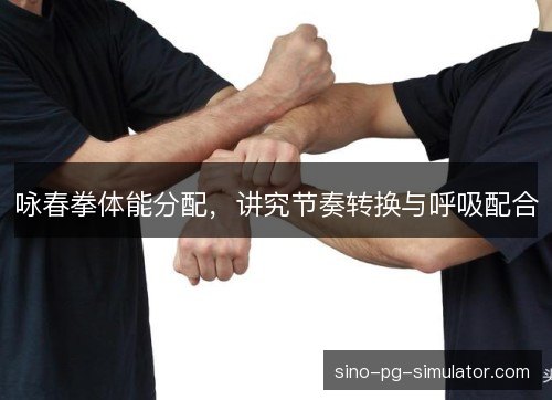 咏春拳体能分配，讲究节奏转换与呼吸配合
