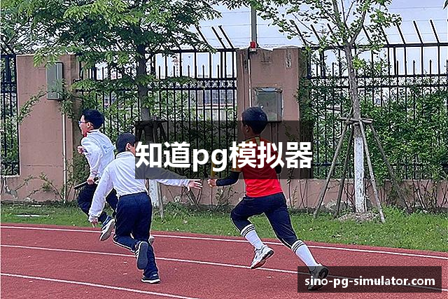 知道pg模拟器
